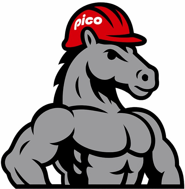 PICO workhorse industrial chemicals cleaners lubricants
